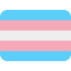 Transgender Flag on Twitter