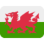 Flag: Wales on Twitter