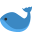 Whale on Twitter