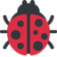 Lady Beetle on Twitter