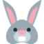 Rabbit Face on Twitter