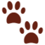 Paw Prints on Twitter