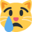 Crying Cat on Twitter