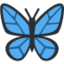 Butterfly on Twitter