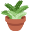 Potted Plant on Twitter