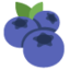 Blueberries on Twitter
